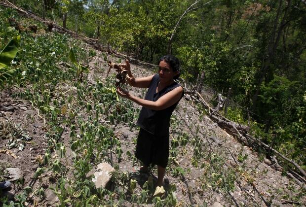 HONDURAS-DROUGHT/