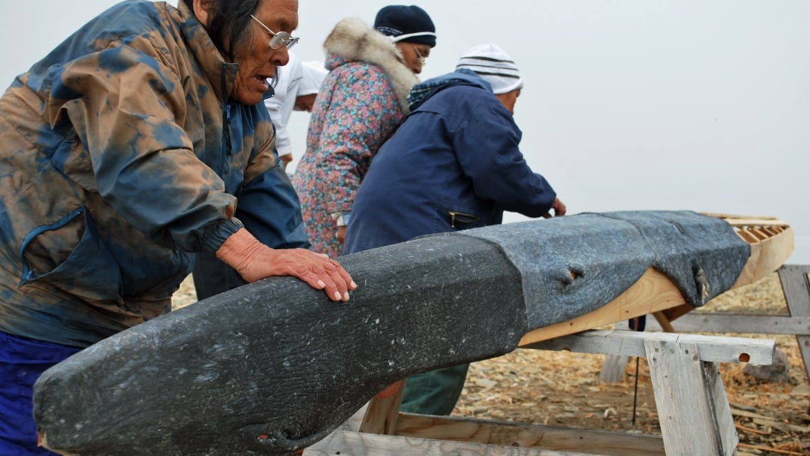 Copper Inuit kayak that spent 50 years in Edmonton basement heads home