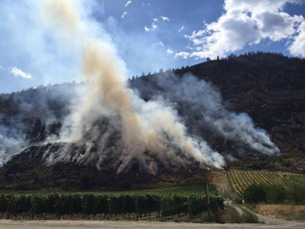 Oliver BC wildfire Aug 16 2015 smouldering wine crops
