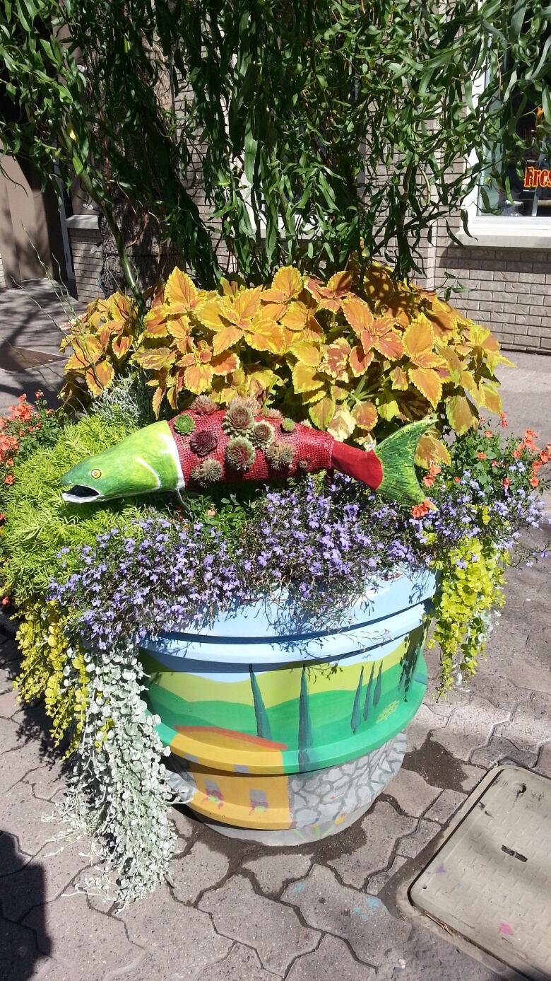 City of Kamloops to name best planter in town for 2015 CBC News