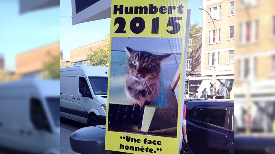Humbert, the four-year-old tabby, is running under slogans including: "An honest face," "The time is now," and "Let's keep the box clean."