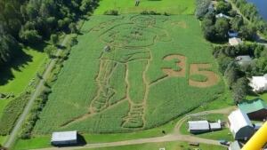 Hunter Brother Marathon of Hope corn maze