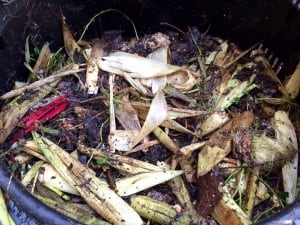 Organic waste, Winnipeg