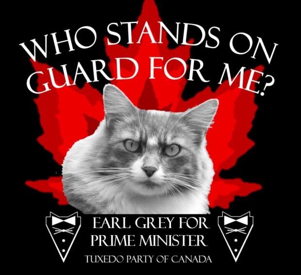 Early Grey wants your vote.