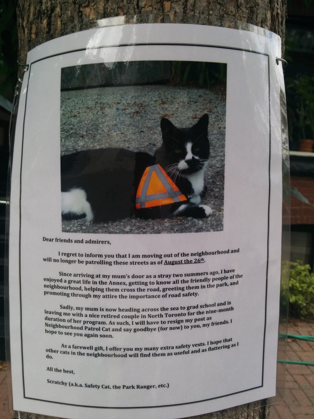 poocoin safecat poocoin safecat