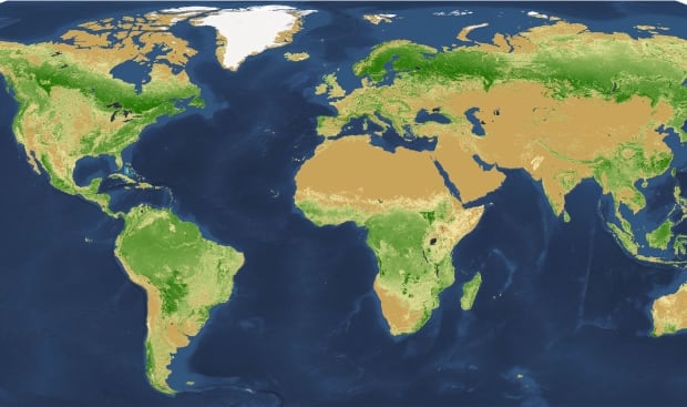 Tree density map