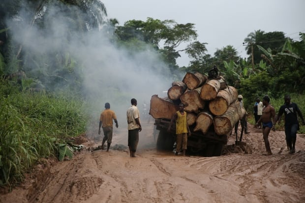 NIGERIA-LOGGING/
