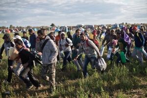 Hungary Migrants