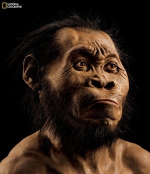Human Ancestor Homo naledi