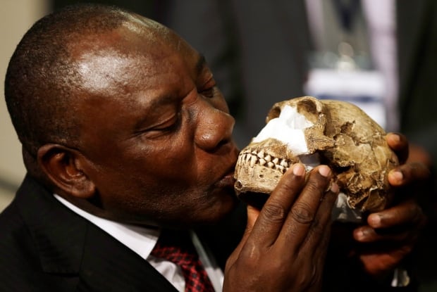 South Africa Human Ancestor