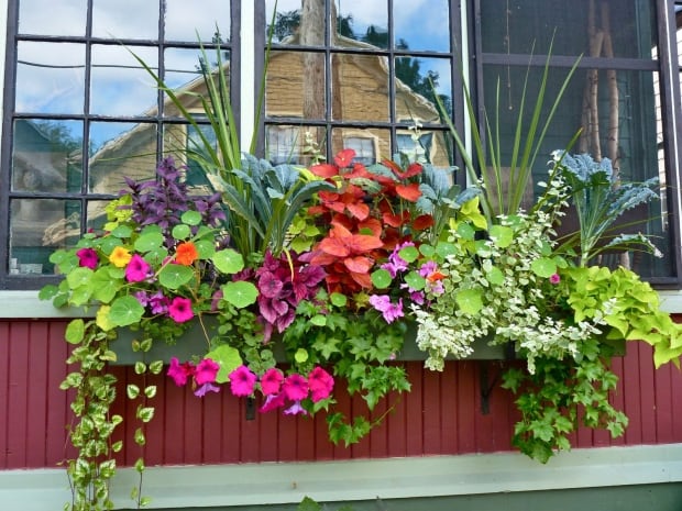 Charlottetown jardinería programa tiene un nuevo nombre, categoría ... - CBC - CBC.ca 1 134 King Street