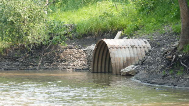 'Rain gardens' planned to reduce Winnipeg combined sewer overflows; The city of Winnipeg's request to change funding formula comes with some conditions for the provincial government\.