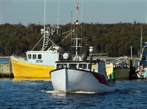 Fishing boats