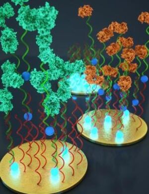 Model of protein binding to electro-active DNA