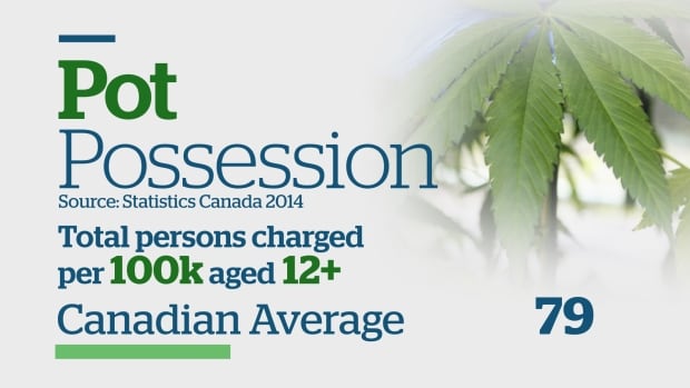 Pot possession infographic, part 1 of 3