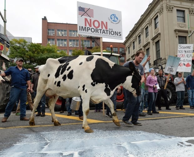 Dairy Farm Protest 20150929