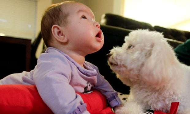 Pets Babies