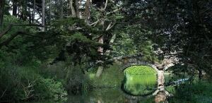Golden Gate Park