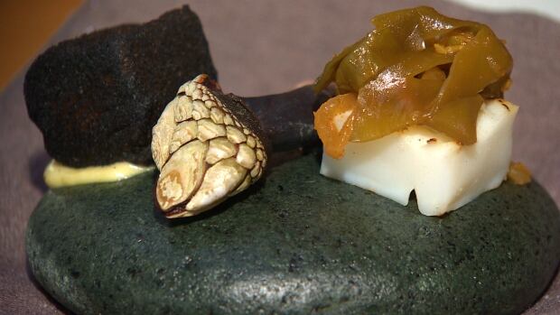 Barnacle on plate