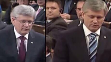 Mulcair stock options