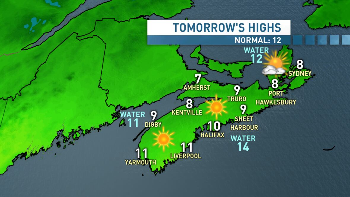 Nova Scotia weather should be clear for Orionid meteor shower CBC News