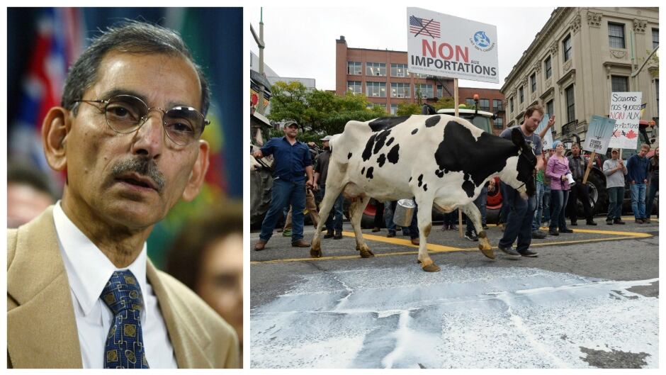Former Health Canada Dr. Shiv Chopra.