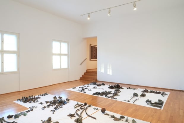 Sobey Art Award 2015 - Abbas Akhavan - Hanging Garden