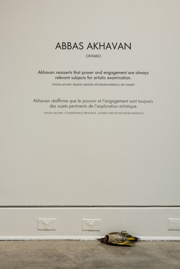 Sobey Art Award 2015 - Abbas Akhavan