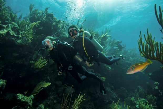 Bermuda Marine Reserve