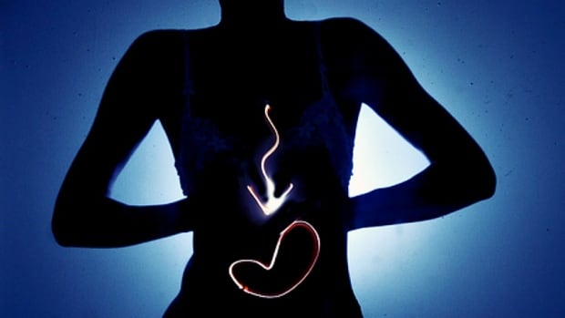 Gut Bacteria