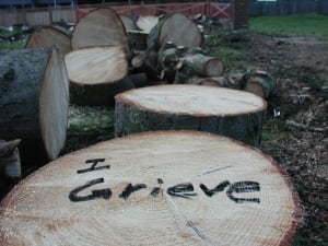 I Grieve 3