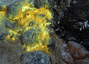 Sulphurous Deposits near Hydrothermal Vents