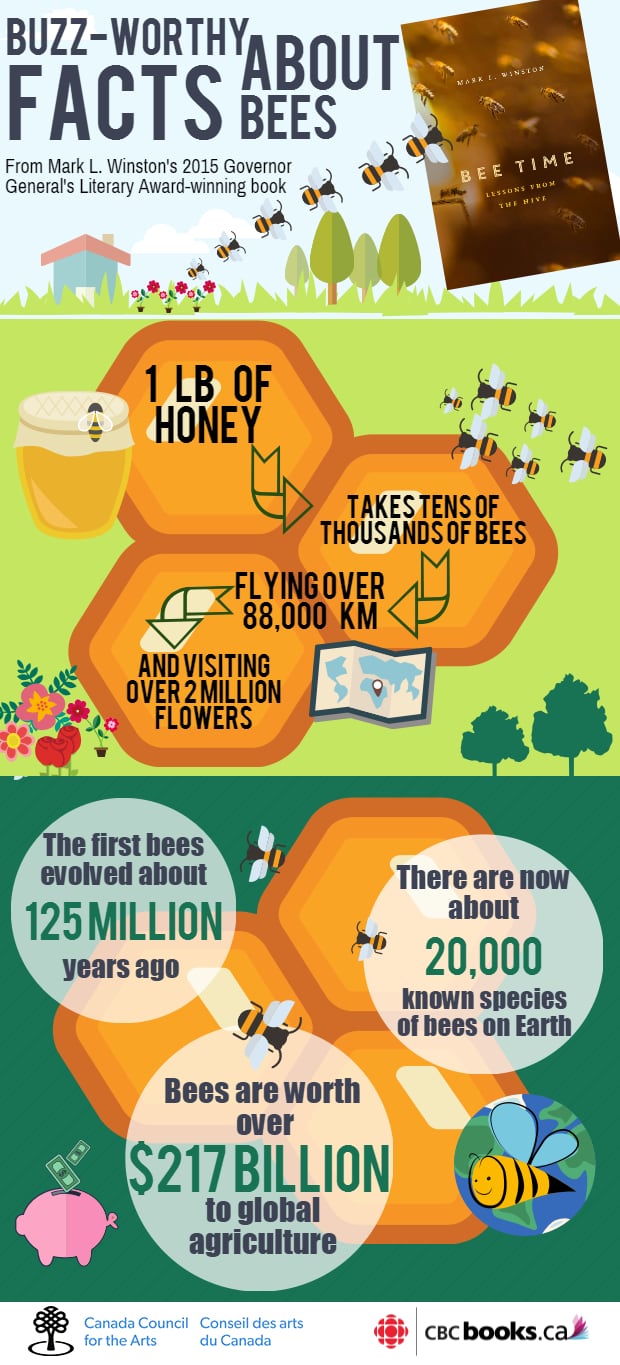 Bee Time Infographic