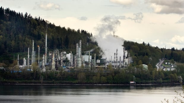Parkland shareholder demands board shakeup as fuel refiner and retailer weighs sale