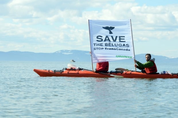 GREENPEACE