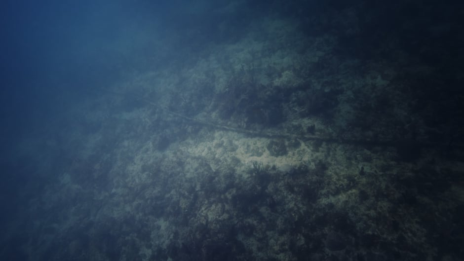 #176 Columbus III, NSA/GCHQ-Tapped Undersea Cable, Atlantic Ocean
2015, C-print, 48 x 60 in.