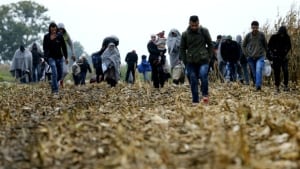 Syrian refugees