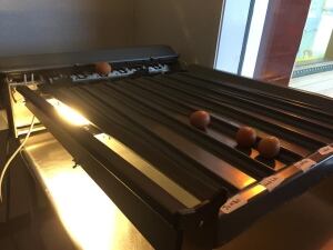 Egg Grader