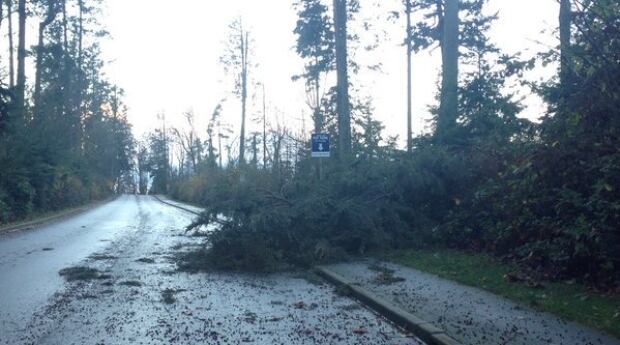 Stanley Park