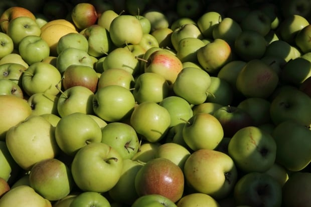 Apples