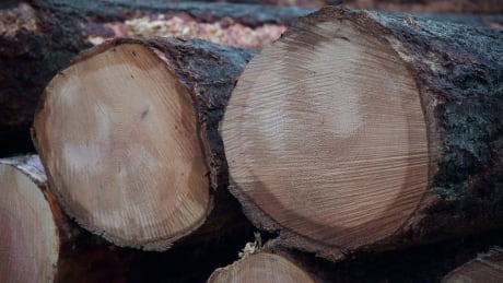 FFresh cut logs are stacked after being harvested by loggers near Youbou, B.C., on January 14, 2015. Officials in Canada and the United States appear to have resumed the acrimonious softwood trade dispute just where they left off in 2006 - with both sides blaming each other for failing to kick start negotiations. Softwood Lumber 20151013