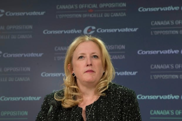 Conservative Critics 20151120
