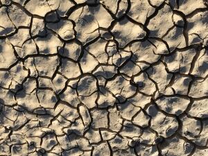 Dry
