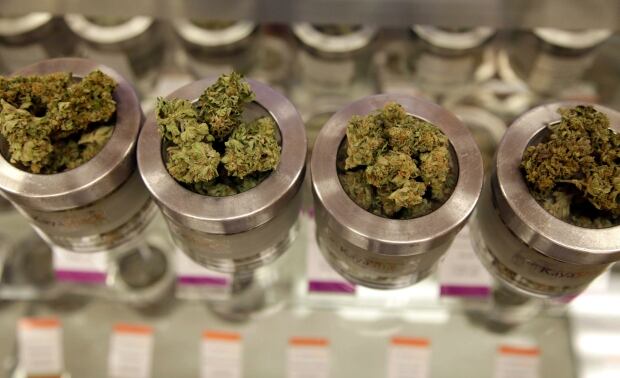 Marijuana Pregnancy