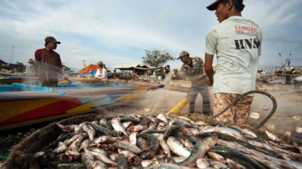Seafood workers