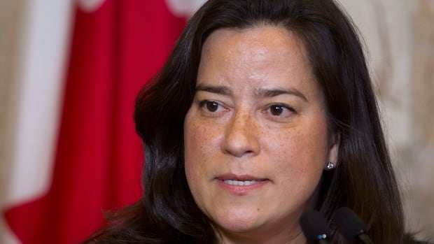 Justice Minister Jody Wilson-Raybould says she's 'renovating the justice system' following the Supreme Court's decision last summer that set limits for how long criminal trials can be delayed.