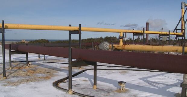 digester, New World Dairy