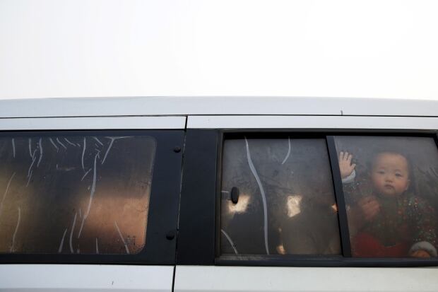 Beijing bad air quality Nov 30 2015 hide your kids