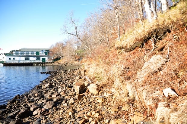 Living shoreline Halifax