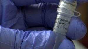 Crispr Cas-9 vial